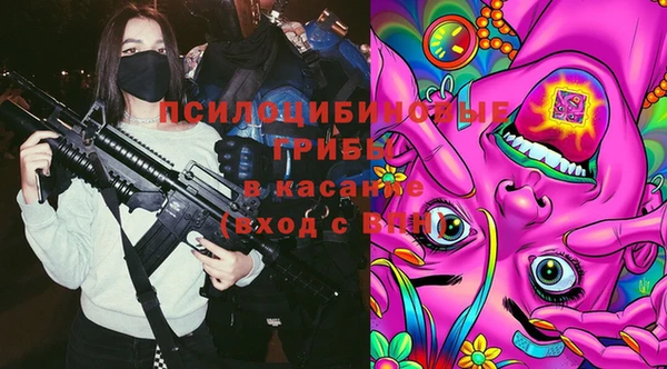 дурь Абинск