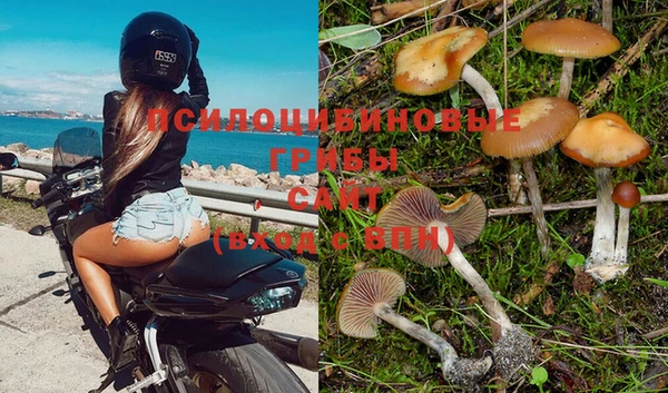 меф Абаза